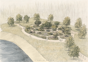 The Julia Rausing Garden designed by Tom Stuart-Smith  